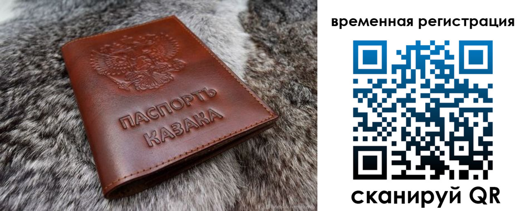 прописка 2025 в Чистополье